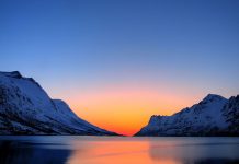 Arctic gives clues on worst mass extinction of life