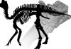 Digitally diagnosing dinosaur osteophathy