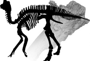 Digitally diagnosing dinosaur-GeologyPage