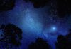Earth interacted with supernova remnants for 1 million years
