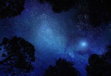 Earth interacted with supernova remnants for 1 million years