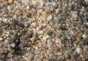 Feeling the force between sand grains