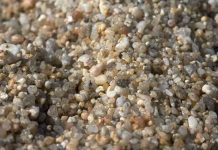 Feeling the force between sand grains