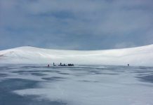 Lack of water likely caused extinction of isolated Alaska mammoths