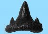 Motorways reveal evidence of massive tropical storms 200 million years ago