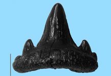 Motorways reveal evidence of massive tropical storms 200 million years ago