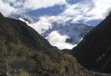New insights into the relationship between erosion and tectonics in the Himalayas