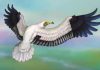 New old world vulture found from the Late Miocene of China