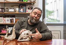 Reinterpreting the fossil record on jaws