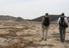 Surface fractures as magma moves