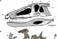 The first crocodile ancestors