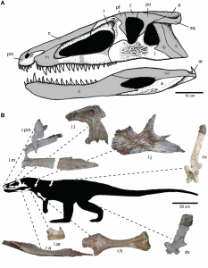 The first crocodile ancestors-GeologyPage