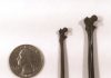 Twenty-five little bones tell a puzzling story about early primate evolution