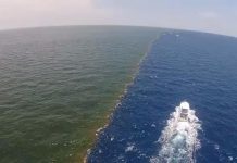 Incredible View for Mississippi River and Gulf of Mexico