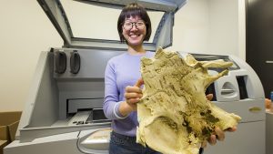 ANU PhD student Yuzhi Hu with a 3D print of the 400 million year old fish fossil that is six times the size of the specimen. Credit: Australian National University 