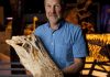 A reptilian anachronism: American alligator older than we thought