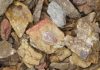 Ancient eggshell protein breaks through DNA time barrier