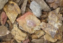 Ancient eggshell protein breaks through DNA time barrier