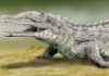 Brain anatomy convergence between crocodylians and their epic carnivorous cousins, the phytosaurs