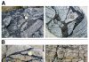 Earthquakes, ‘Mars-quakes,’ and the possibility of life