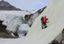 ‘False’ biosignatures may complicate search for ancient life on Earth, other planets