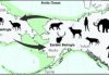 Fossils can help predict future species survival