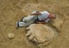 Giant dinosaur footprint discovered in Mongolia desert