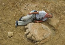 Giant dinosaur footprint discovered in Mongolia desert