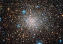 Hubble discovers rare fossil relic of early Milky Way