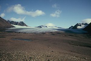 Fig. 1. Werenskioldbreen and its forefield (August 2010). Credit: Łukasz Stachnik 