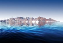 Life thrived on young Earth: scientists discover 3.7 billion year old fossils