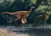 New Dinosaur Named for Ability to Evade Predators