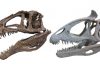 Outrageous heads led to outrageously large dinosaurs