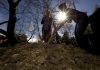 Soil will absorb less atmospheric carbon than expected this century, study finds