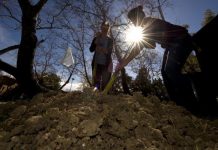 Soil will absorb less atmospheric carbon than expected this century, study finds