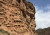 Westerly winds have blown across central Asia for at least 42 million years