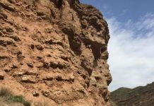 Westerly winds have blown across central Asia for at least 42 million years