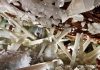Video: Cave of Crystals “Giant Crystal Cave”