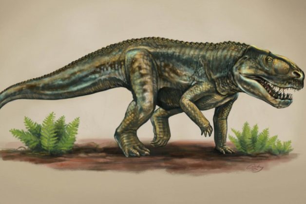247 Million Years Ago This Reptile Hadfeathers You Have To See This - 502qrzr
