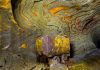 Psychedelic Salt Mine, Russia