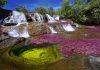 Caño Cristales, Colombia