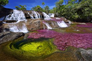 Caño Cristales 1