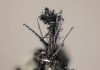 A new mineral discovered in Tanzania