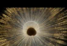 Atom-by-atom growth chart for shells helps decode past climate