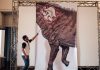 Brazil’s biggest dinosaur found after passing 60 years in cupboard