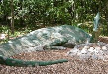 Chemical analysis demonstrates communal nesting in dinosaurs
