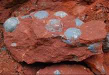 Chinese roadworkers unearth nest of Forty-Three fossilised dinosaur eggs