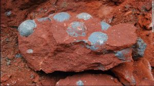 Fossilized dinosaur eggs found in China