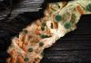 Deep down fracking wells, microbial communities thrive