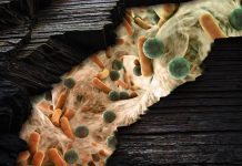 Deep down fracking wells, microbial communities thrive